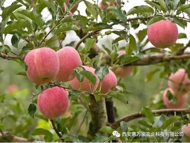 &#24320;&#20113;&#25163;&#26426;